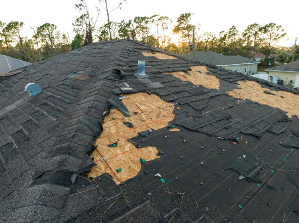 Best Roof Ventilation Installation  in Upper Sandusky, OH